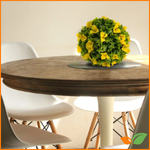 Plantas y bonsáis para regalar con sentido