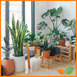 Crea tu propio oasis de paz