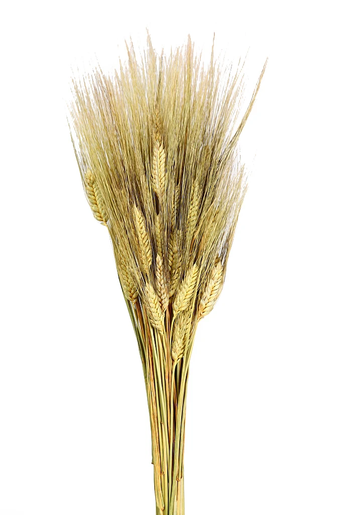 Pomo-trigo-artificial-Decoración-rústica-natural