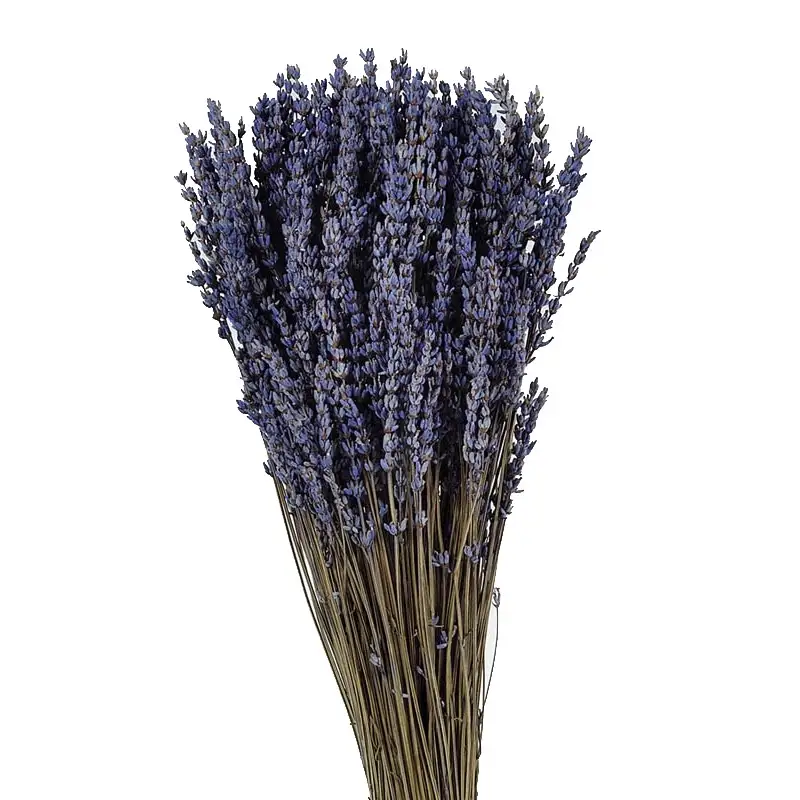 Pomo-lavanda-preservada