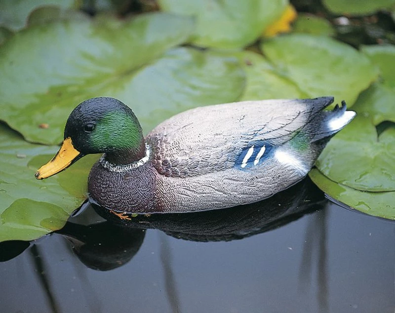 Figura-decorativa-pato-salvaje-macho