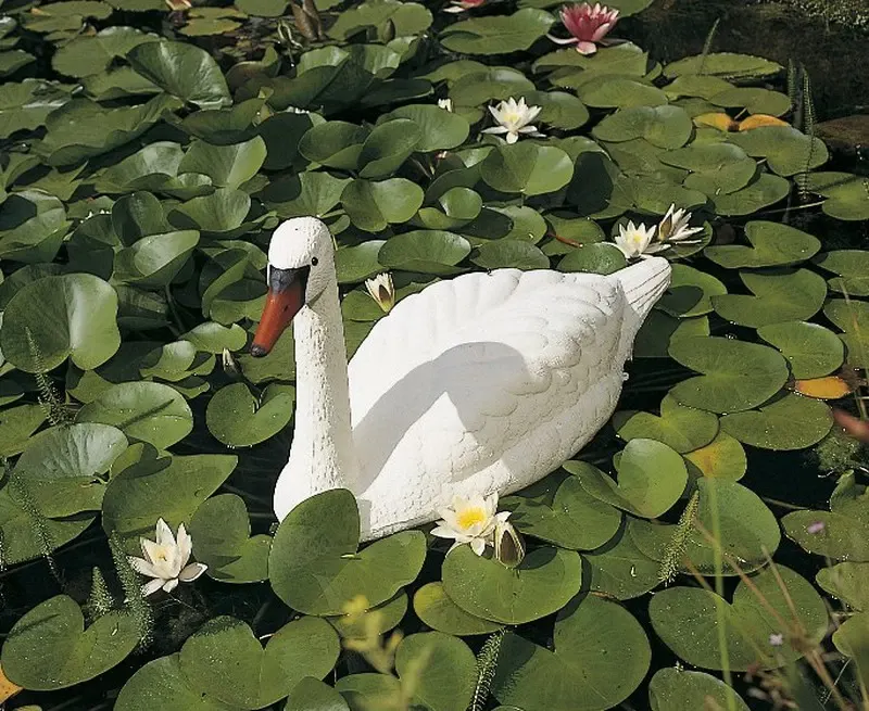 Figura-decorativa-cisne