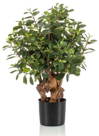 arbol-ficus-artificial-botanic-70cm
