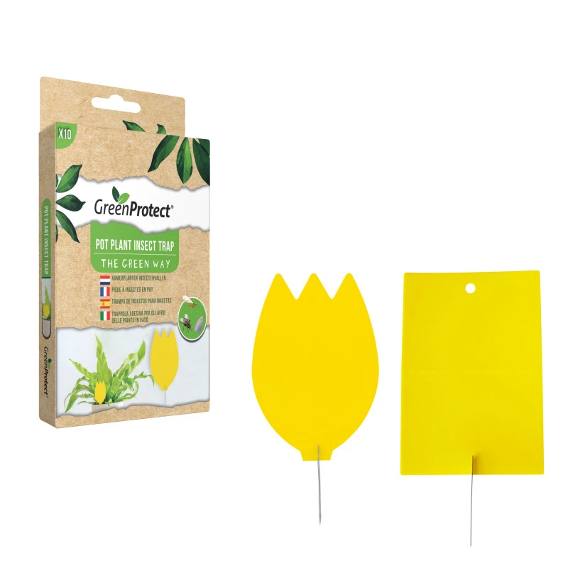 Trampa-para-insectos-macetas