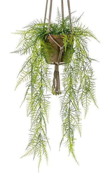 helecho-plumoso-artificial-colgante