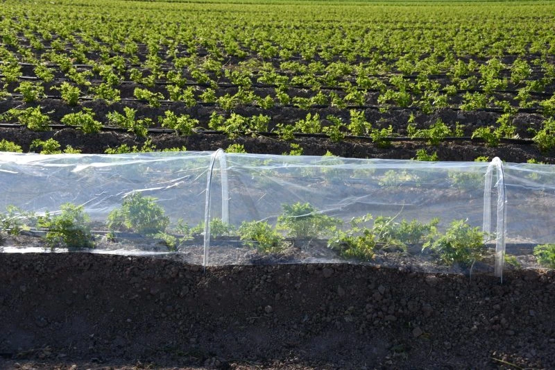 Mini-invernadero-extensible-para-huerto-jardín-Medida-400x120