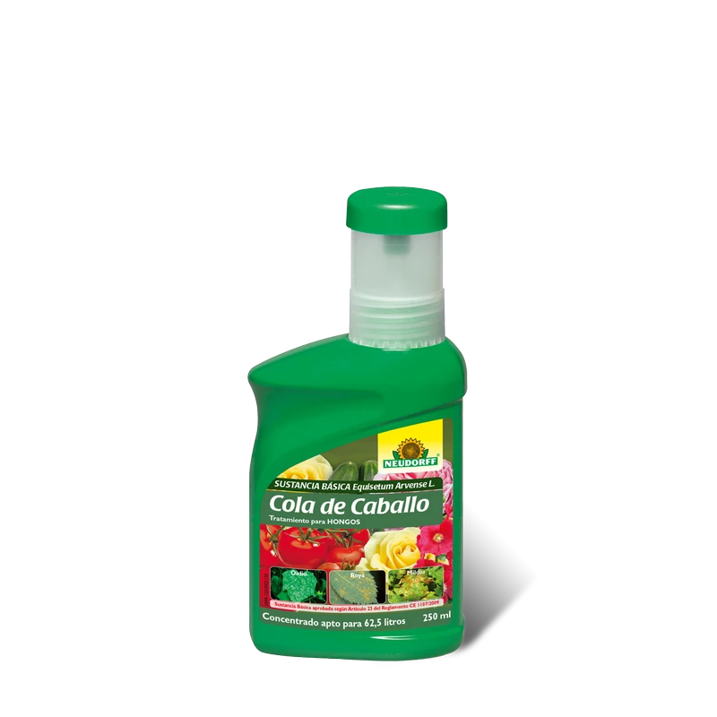 Cola-caballo-tratamiento-ecológico-para-hongos