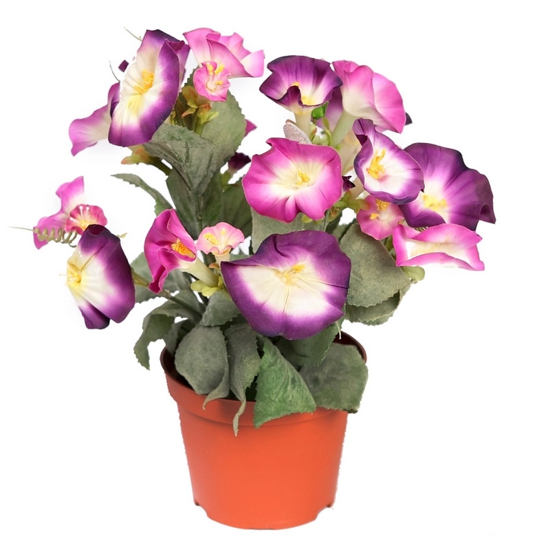 Primula-planta-temporada-artificial-altura