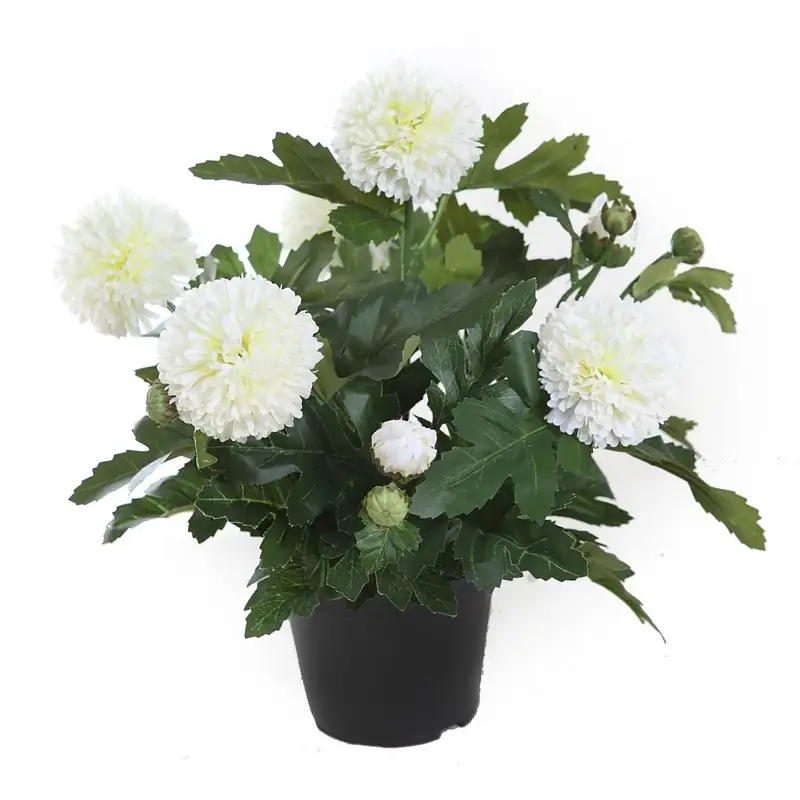 Crisantemo-planta-pompón-artificial-blanco