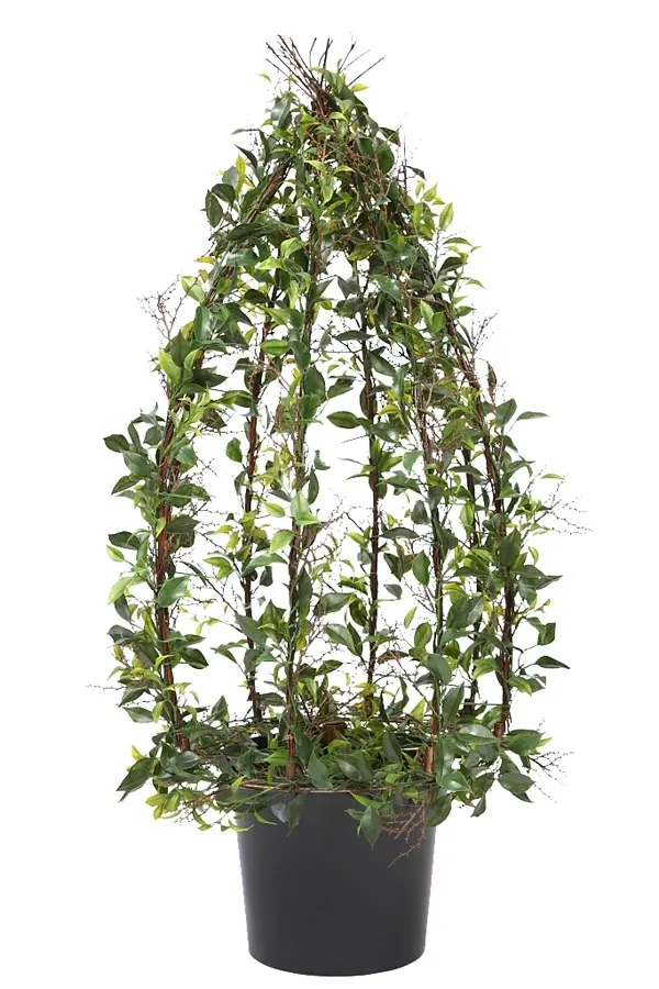Ficus-artificial-forma-piramide-altura