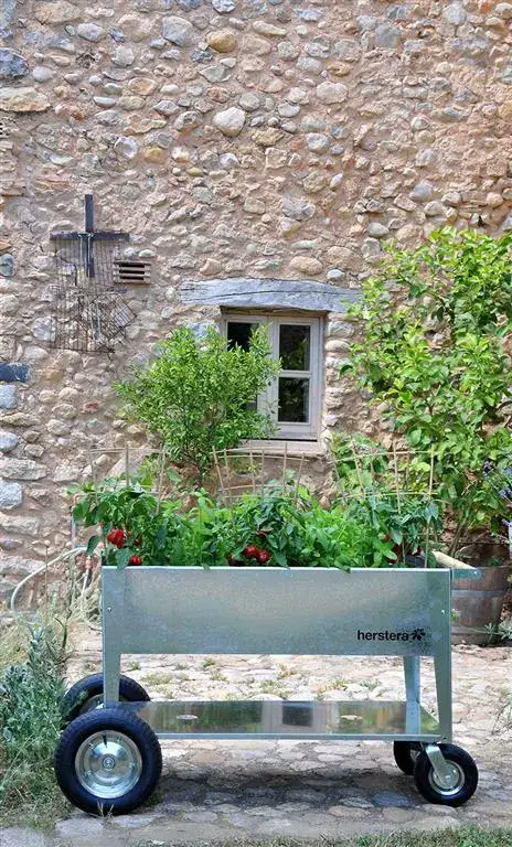 images