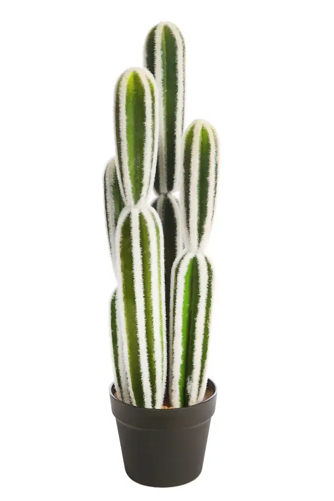 Cactus-Pedro-artificial-maceta