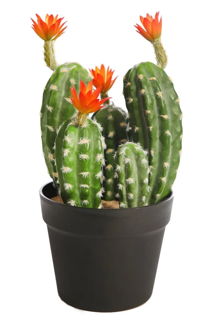 Cactus-artificial-flor-saguaro-sahuario