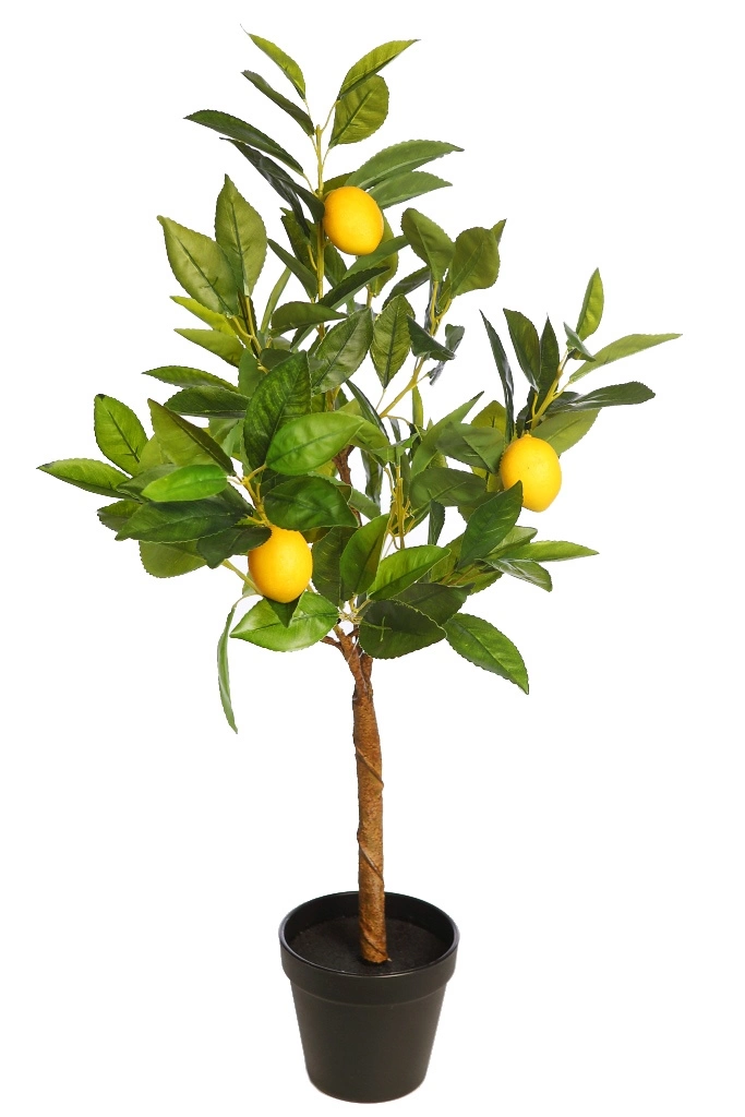 Árbol-limonero-artificial-altura