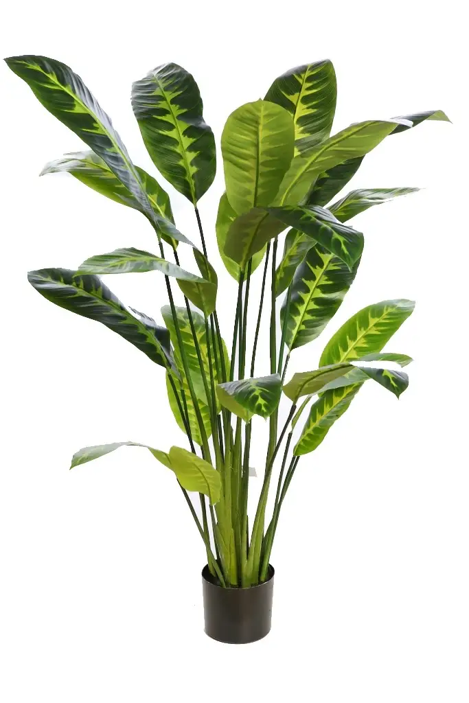 Planta-artificial-Diefembachia