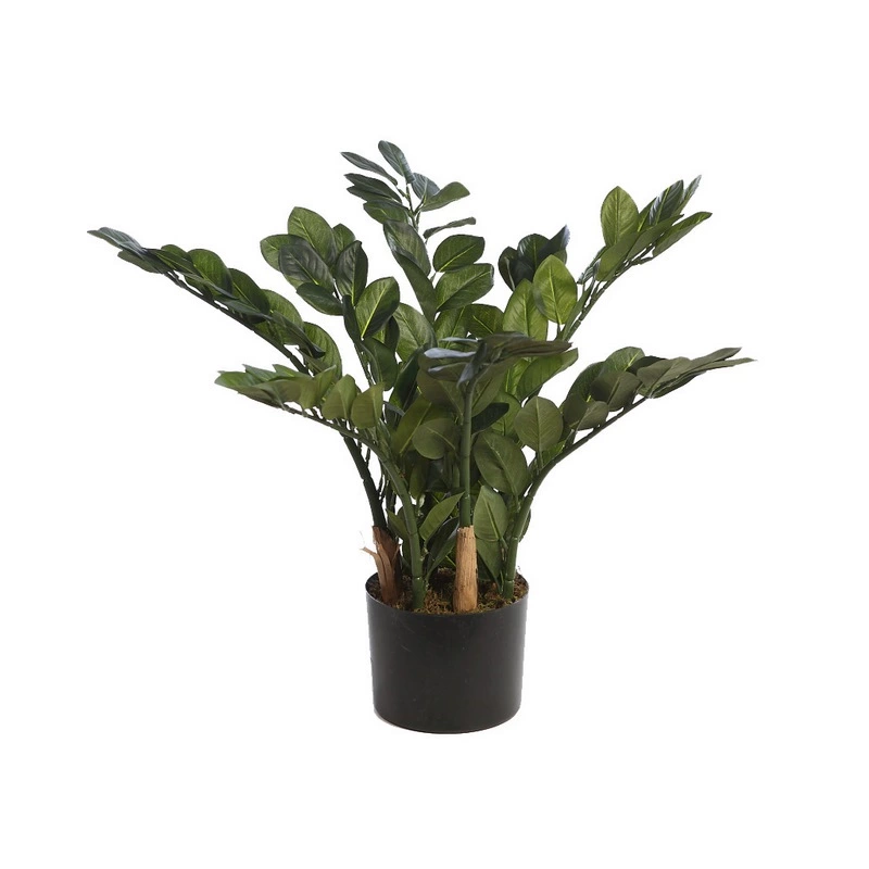 Zamioculca-planta-millonaria-artificial