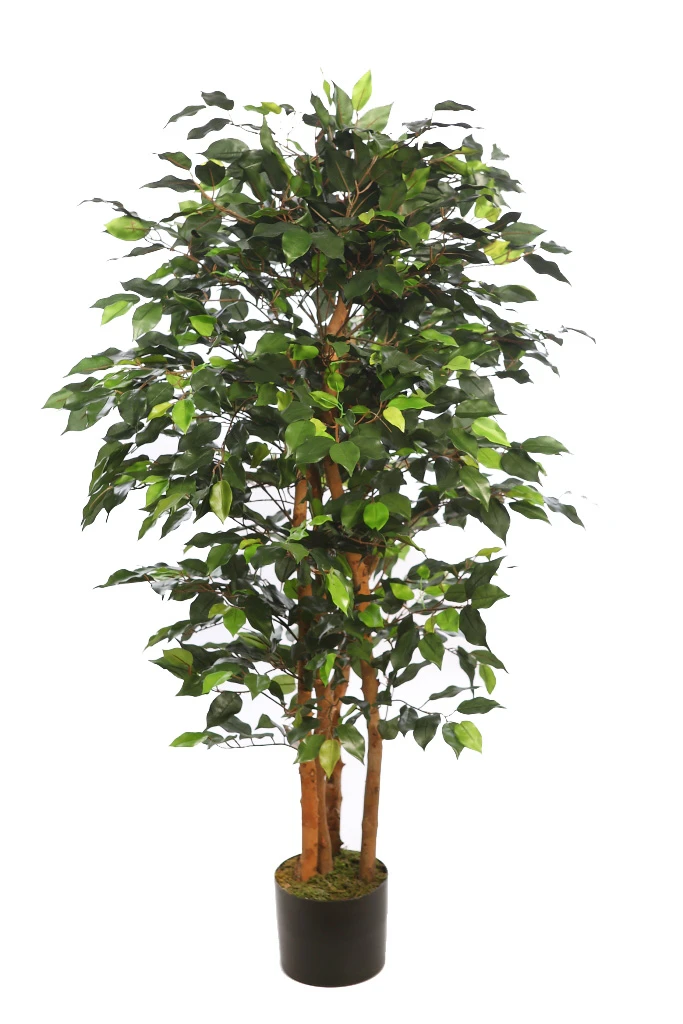 ficus-artificial-ancho-150cm