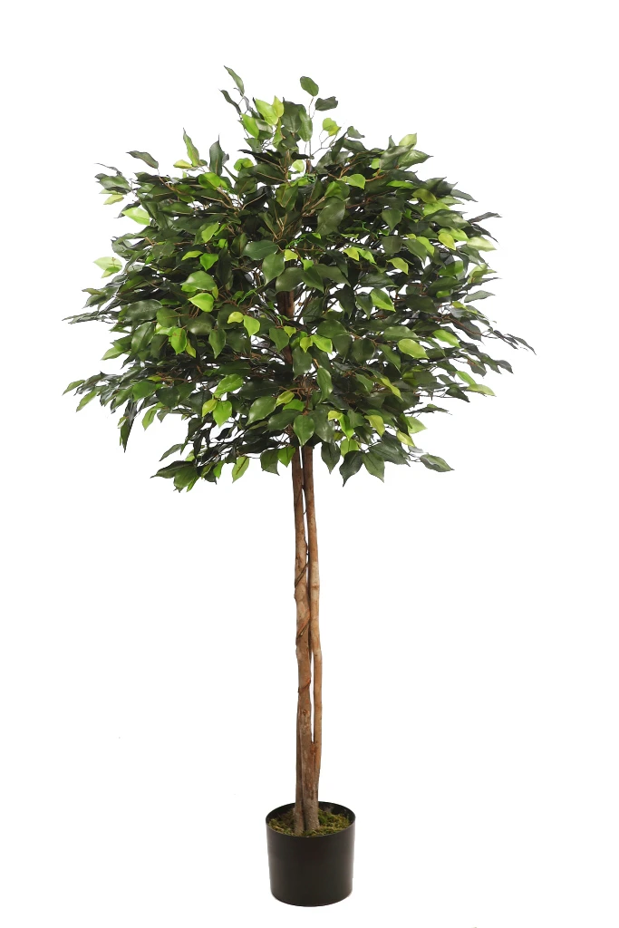 ficus-artificial-copa-ancha-160cm