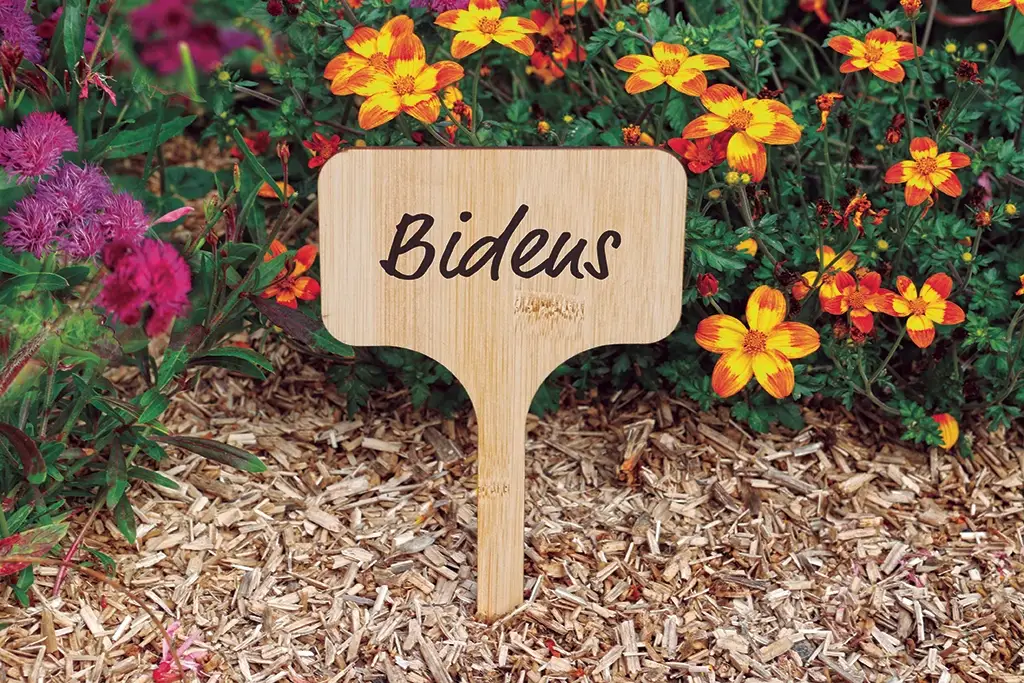 Etiquetas-bambú-para-etiquetas-plantas