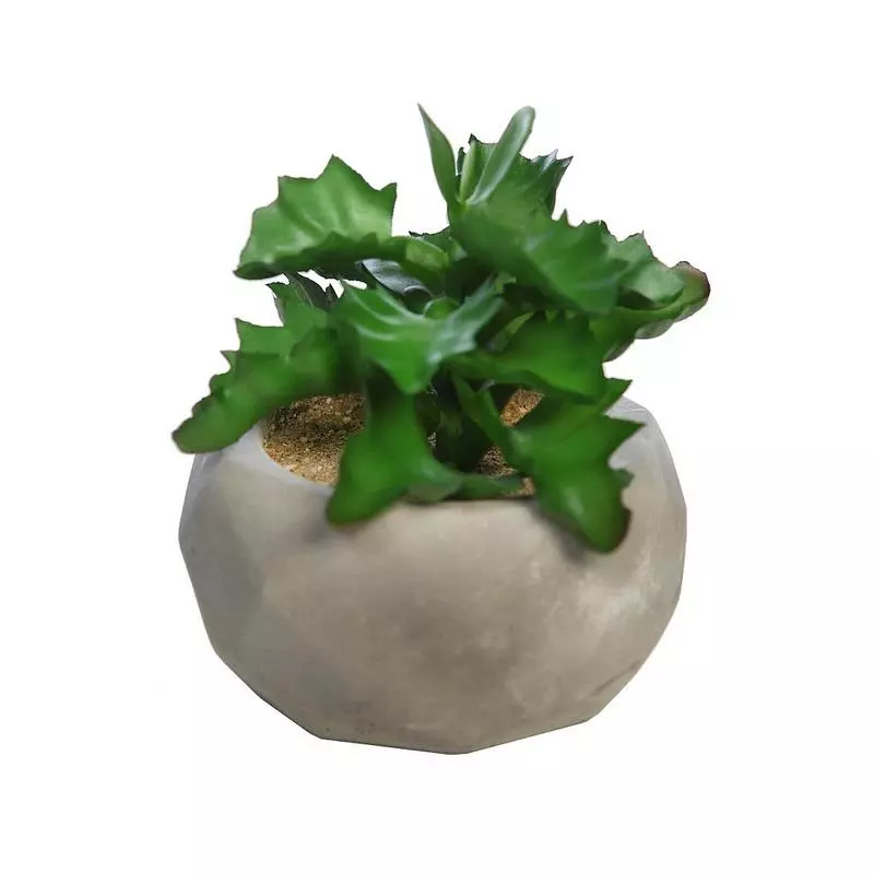 Cactus-artificial-shaviana-maceta-cemento