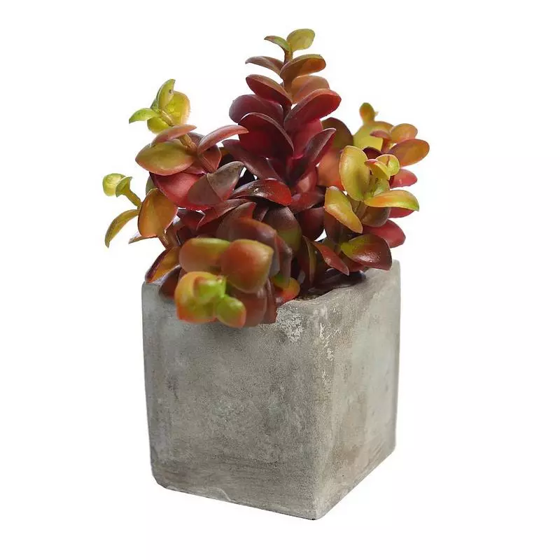 Mini-Cactus-artificial-maceta-cemento