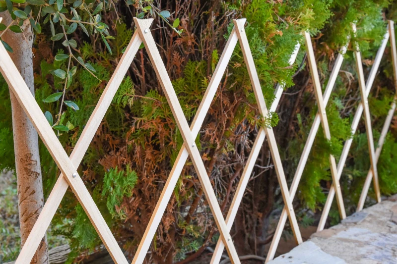 Celosía-madera-natural-extensible-Ideal-para-dividir-espacios