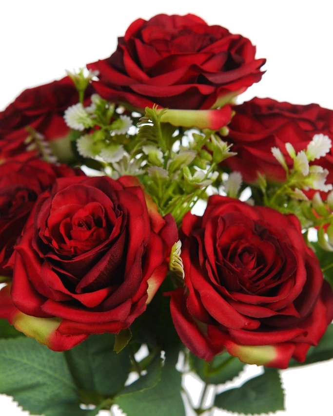images