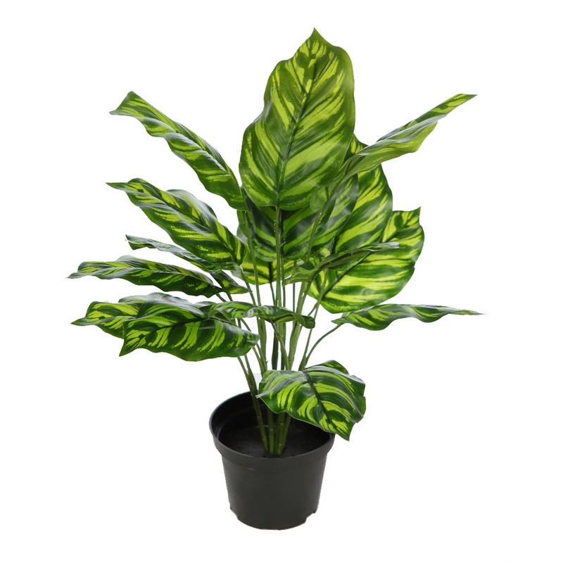 Calathea-planta-artificial-interiores