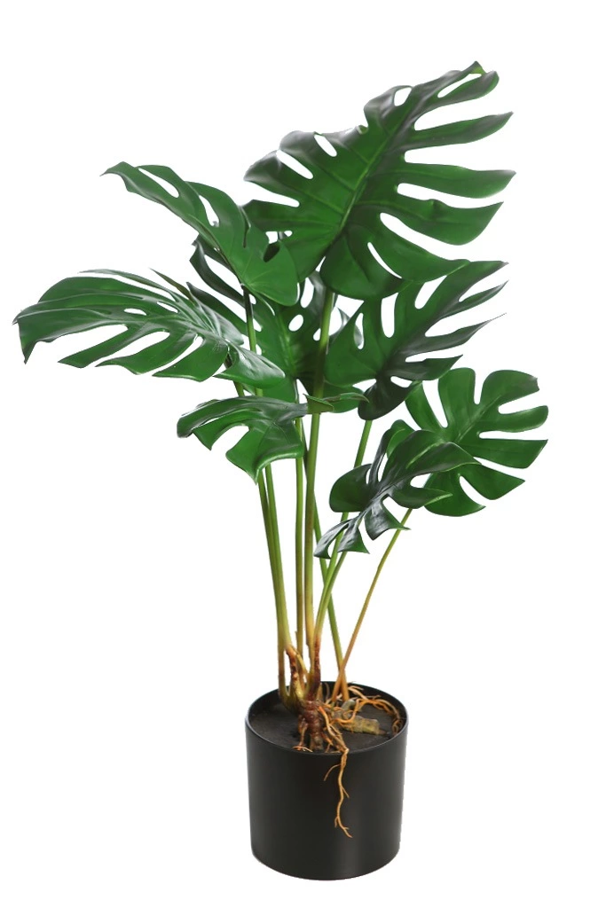Monstera-Costilla-Adán-artificial