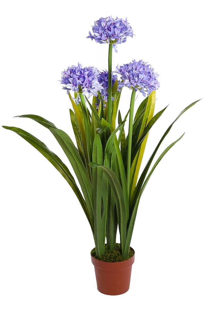 Allium-artificial--decorativo-azul