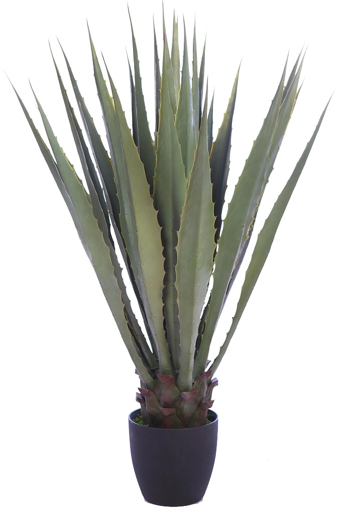 Cactus-artificial-agave-pita