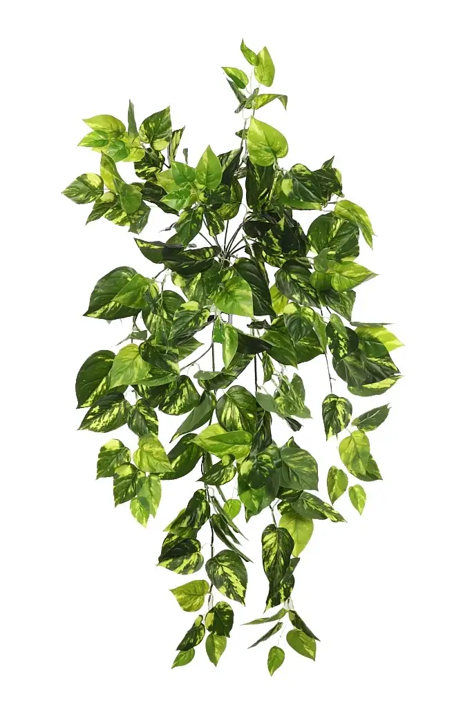 Pothos-artificial-colgante