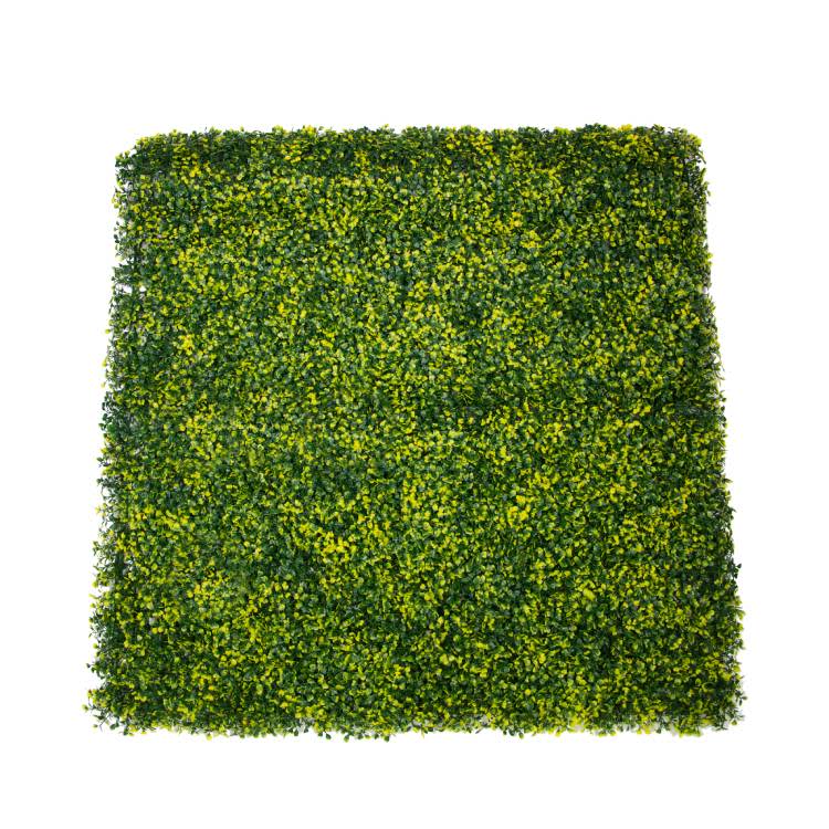 Jardín-vertical-Buxus-1x1m