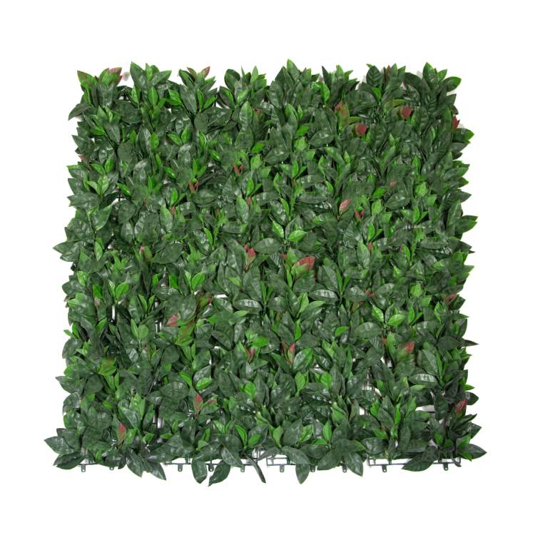Jardín-vertical-Photinia-1x1m