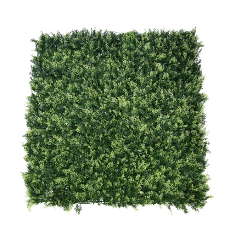 Jardín-vertical-Thuya-1x1m