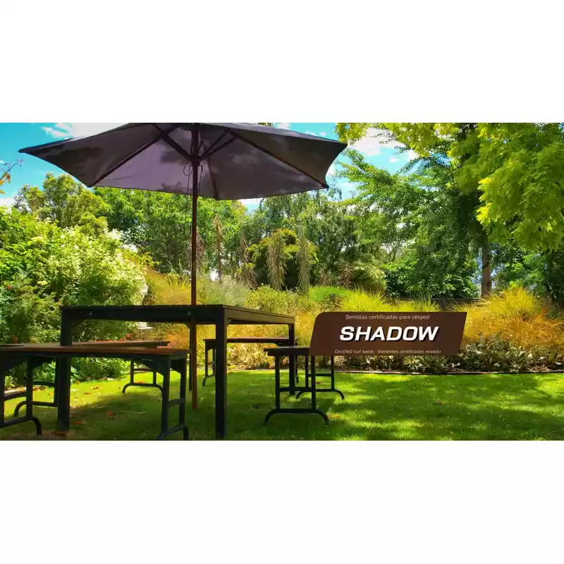 Semillas-césped-especial-sombra-Shadow