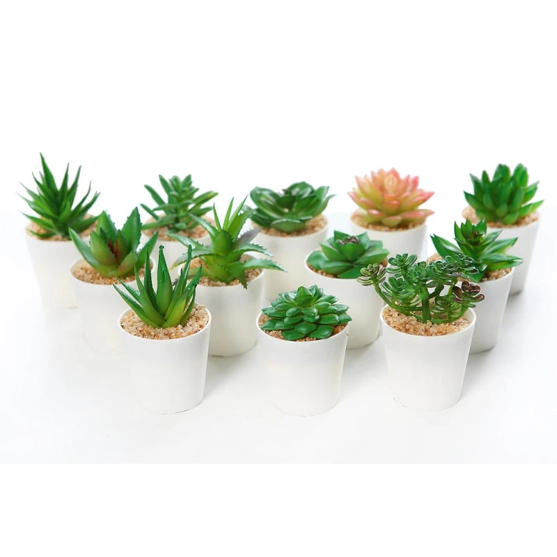 cactus-mini-artificiales-12pcs