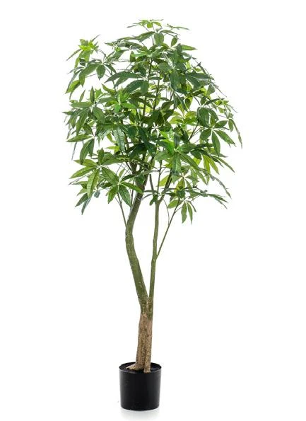 arbol-pachira-artificial-180cm