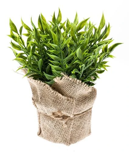 arbusto-artificial-ruscus-20cm