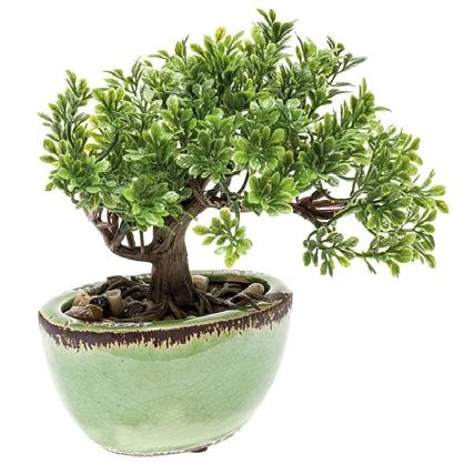 bonsai-artificial-ficus-interior