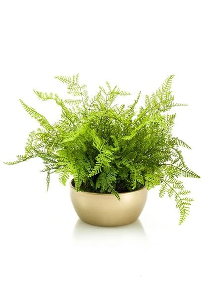 bosque-helechos-artificial-40cm