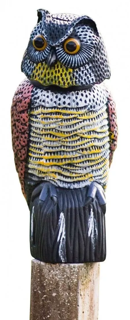 Búho-Espantapájaros-Ahuyentador-Visual-Eficaz-contra-Aves