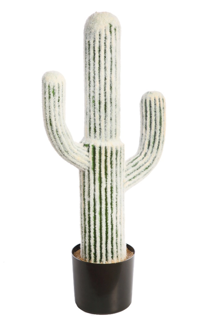cactus-artificial-cabeza-viejo-cephalocereus