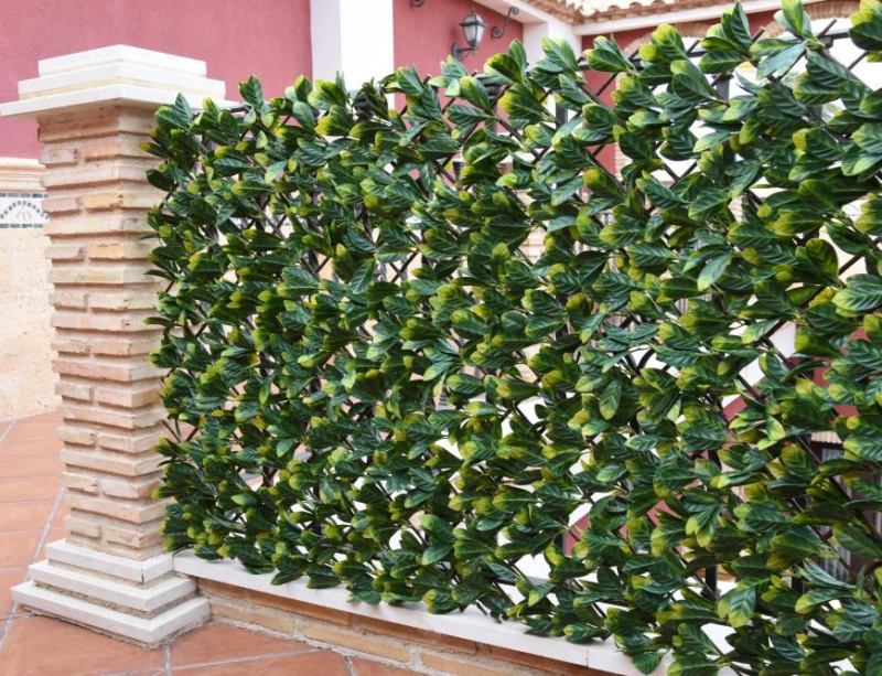 celosia-extensible-mimbre-hojas-laurel