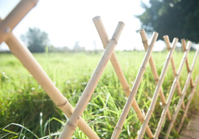 Celosía-jardín-bambú-Soporte-trepadoras-separación