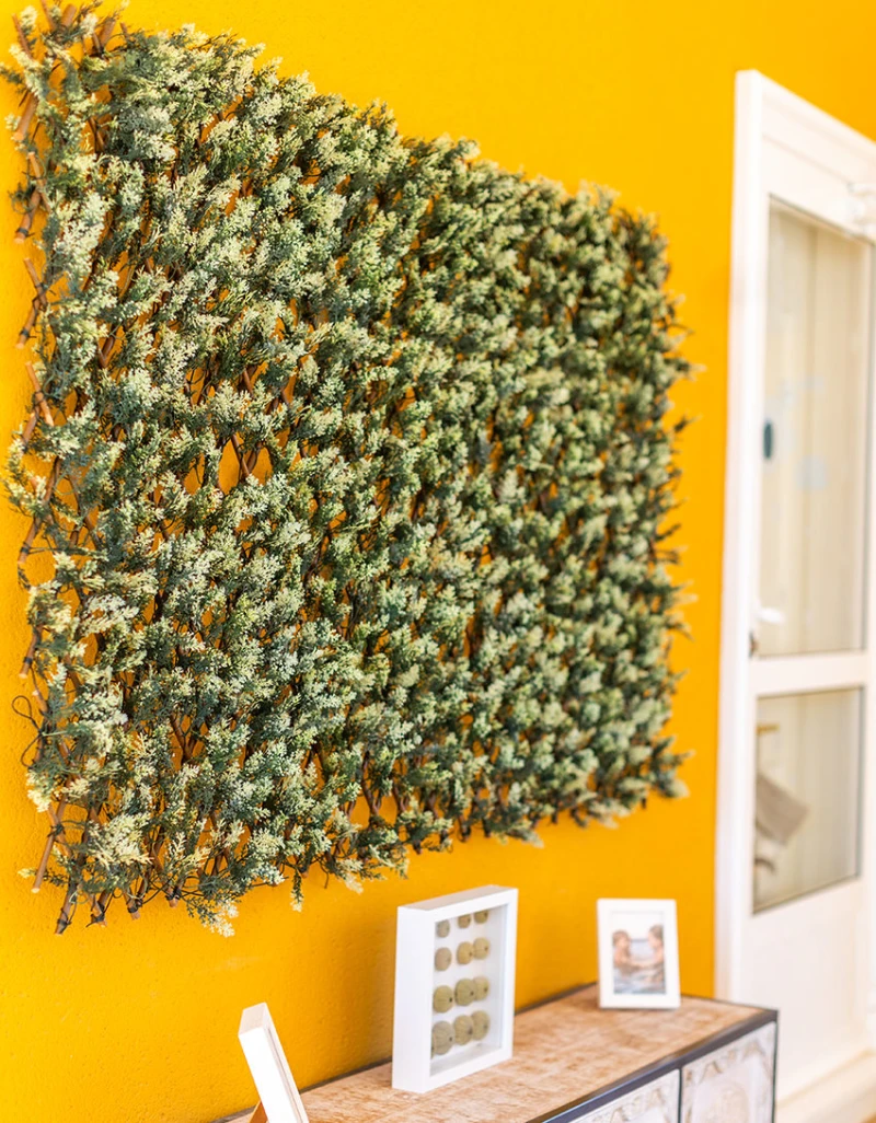 celosia-mimbre-extensible-hoja-cipres