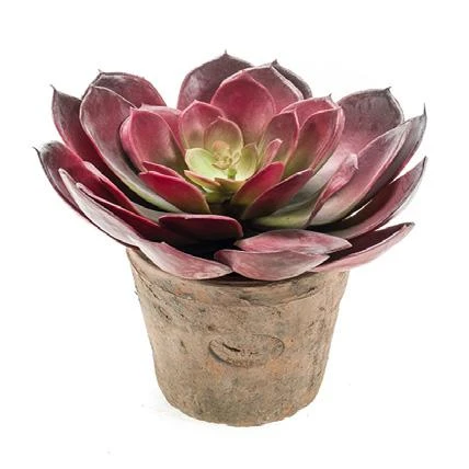 echeveria-artificial-burdeos-maceta-envejecida