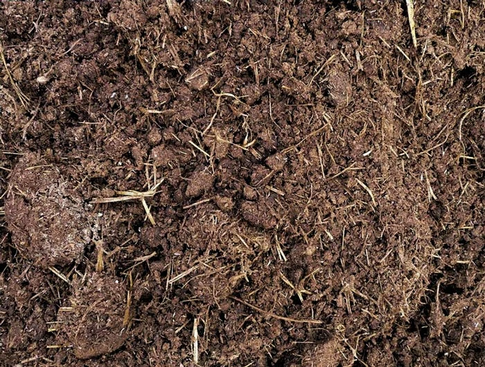 estiercol-curado-vaca