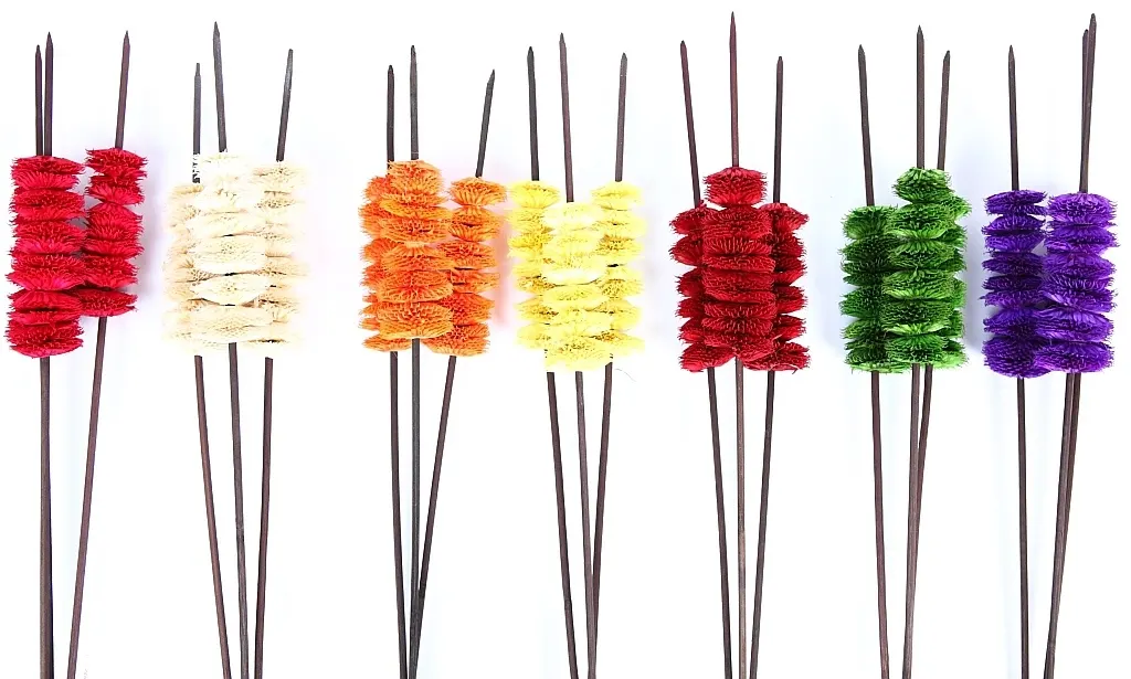 Flor-seca-cola-gato-pomos-tres-alto