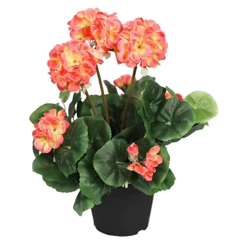 geranio-artificial-colores